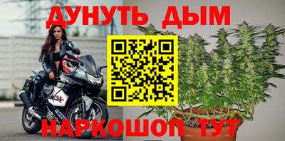 крисы Камышлов