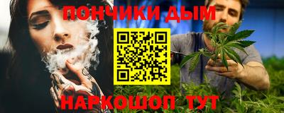 крисы Камышлов