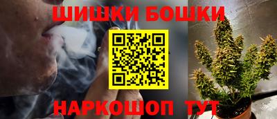 крисы Камышлов