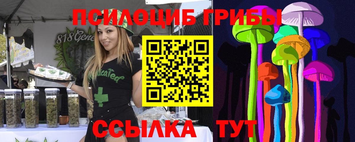 Кимры  Псилоцибиновые грибы GOLDEN TEACHER  Галлюциногенные грибы MAGIC MUSHROOMS  Вход с VPN 