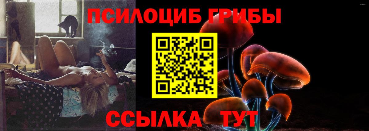Галлюциногенные грибы Psilocybe Кимры